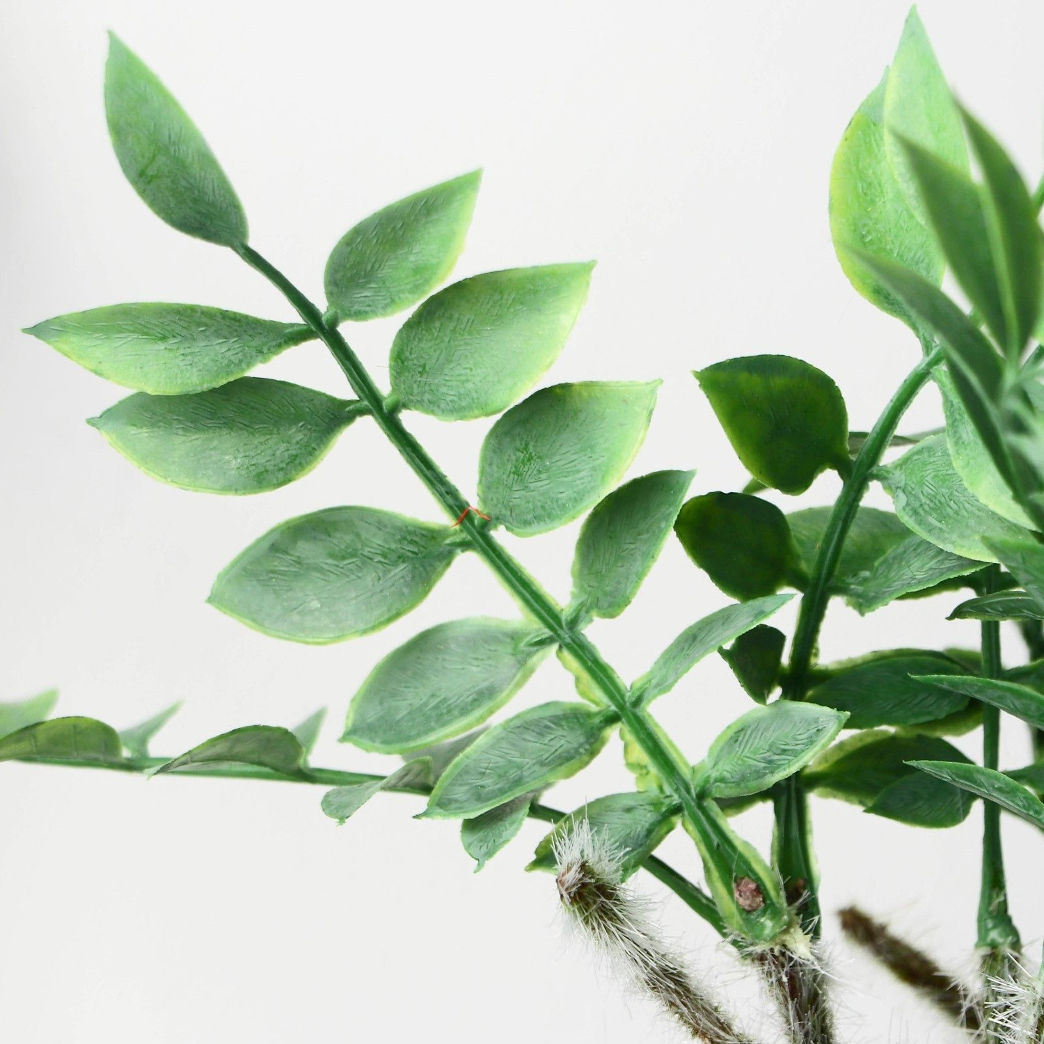 Бонсай в горшке "Замиокулькас" 8,5х22 см, 9789754 Бонсай в горшке "Замиокулькас" 8,5х22 см, 9789754