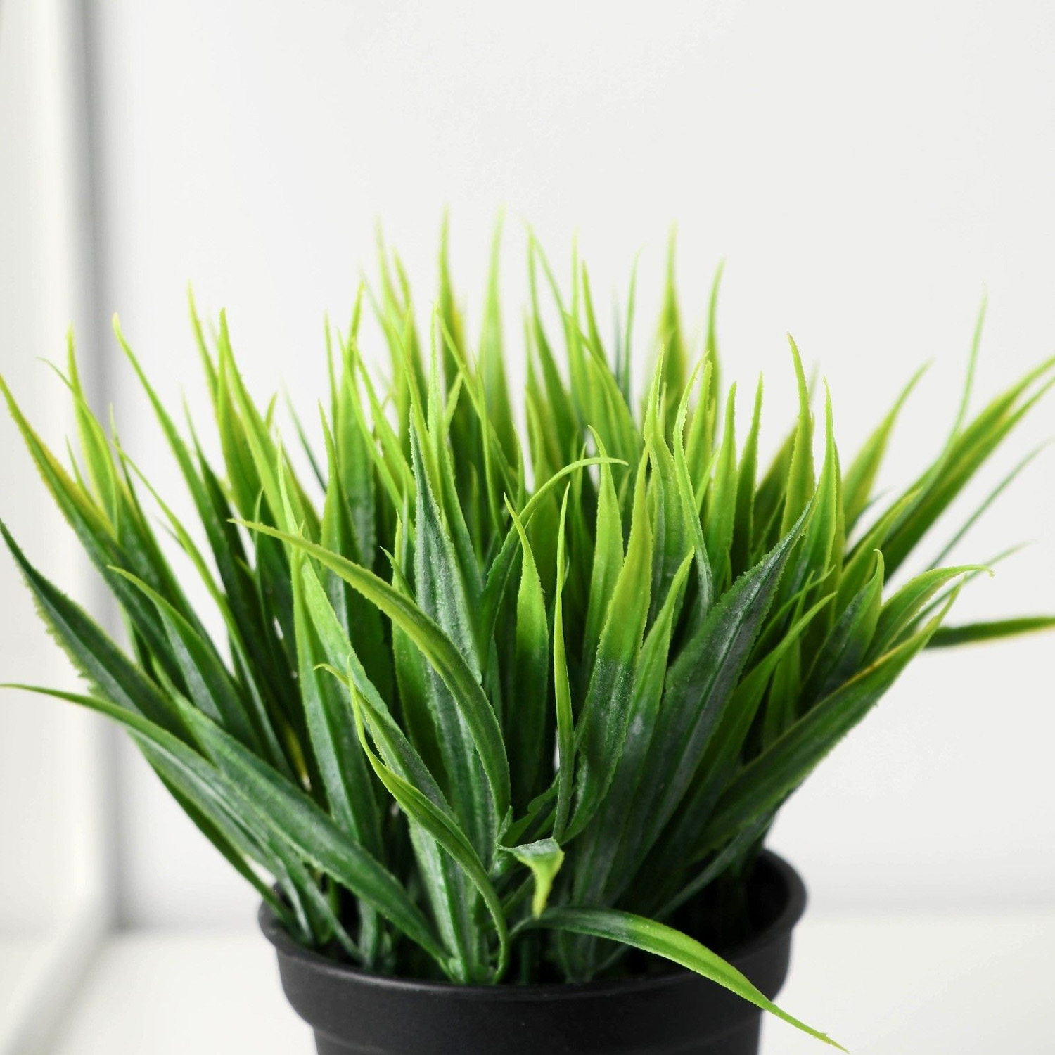 Бонсай в горшке "Зелень люкс" 7х11 см   9750534