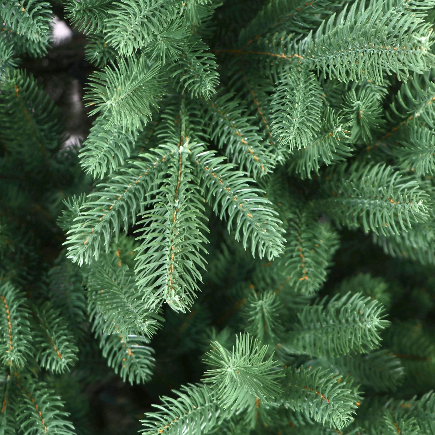 Елка  искусственная пластиковая "Самарская" 2,1м литая *1/20