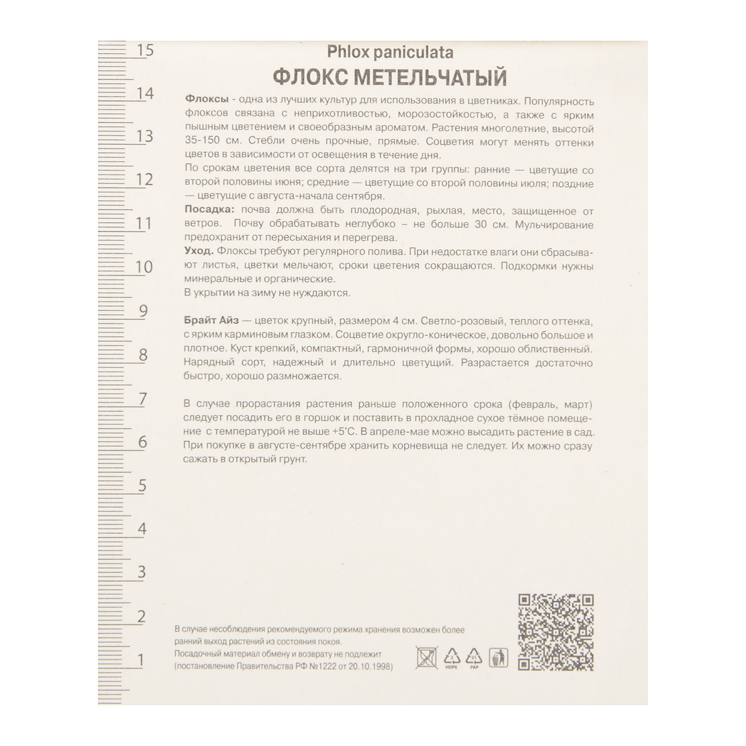 Флокс метельчатый Брайт Айз 1шт