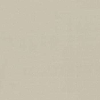 Обои  флиз ED Euro Decor Stronghold (беж.) 7315-15 *6