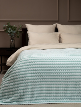 Плед 150*200см фланель жаккард двухцветный бирюзовый TF FNAC MI2 028/1520 NC Absolute *1 Плед 150*200см фланель жаккард двухцветный бирюзовый TF FNAC MI2 028/1520 NC Absolute *1